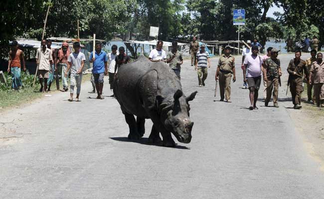 Peasant Leader Arrested For Clashes During Kaziranga Park Eviction Drive