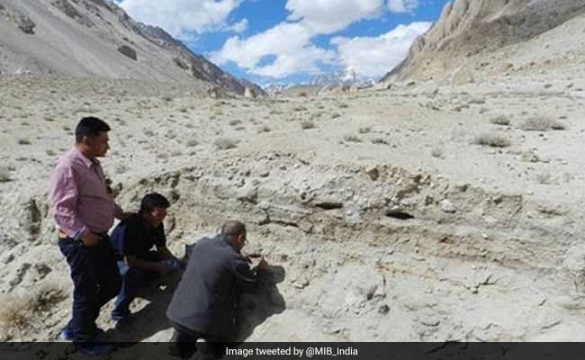 Over 10,000-Year-Old Camping Site Discovered in Ladakh