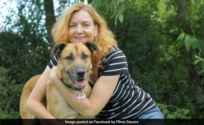 A Tale Of Dogged Love That Won A Flight Attendant's Heart