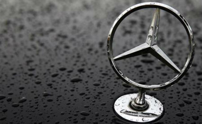 Leopard Strays Into Mercedes-Benz Plant In Pune, Rescued