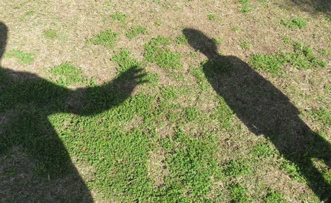 8-Year-Old Indian-Origin Girl Kidnapped In South Africa's Cape Town