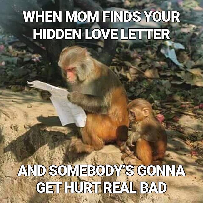 Monkey Memes