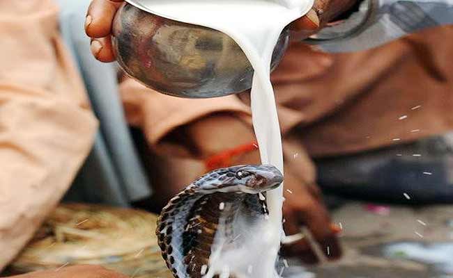 Nag Panchami 2019: क्या है नागपंचमी की कथा, क्यों चढ़ाते हैं सांप को दूध