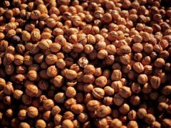 Regular Nibbling On Nuts Linked To Low Inflammation Regular Nibbling On Nuts Linked To Low Inflammation