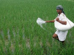 Government To Divest 5% In Rashtriya Chemicals And Fertilisers Tomorrow