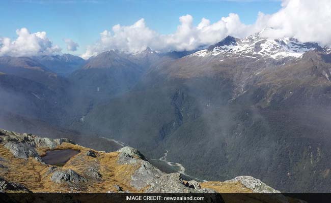 Czech Woman Found A Month After Partner Died On Remote New Zealand Track