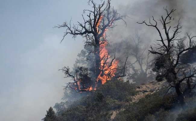 Southern California Firefighters Make Progress; 100 Homes Destroyed