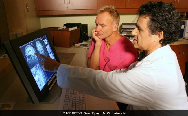 Neuroscientists Scanned Sting's Brain - Here's What They Learned