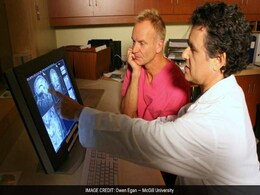 Neuroscientists Scanned Sting's Brain - Here's What They Learned Neuroscientists Scanned Sting's Brain - Here's What They Learned