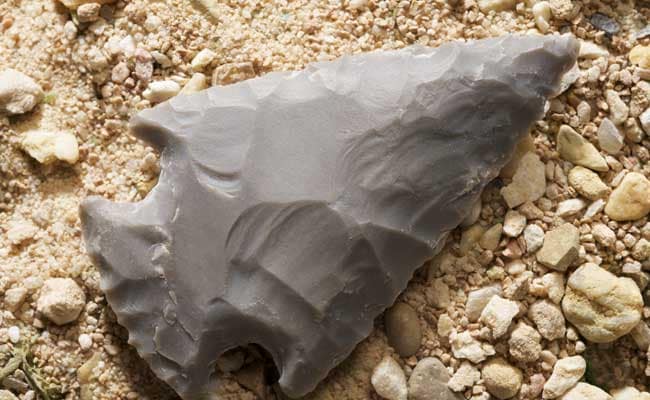 Stones Used As Hunting Weapons Million Years Ago Found