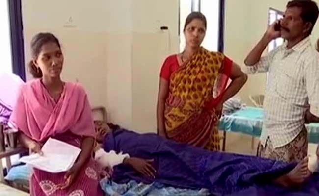 Another Person Hospitalised After Being Bitten By Stray Dog In Kerala