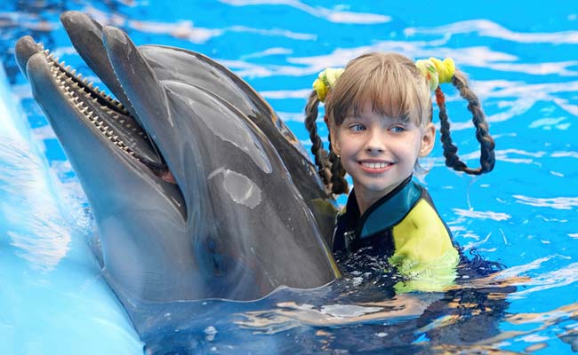 US Government Seeks Ban On Swimming With Hawaii Dolphins