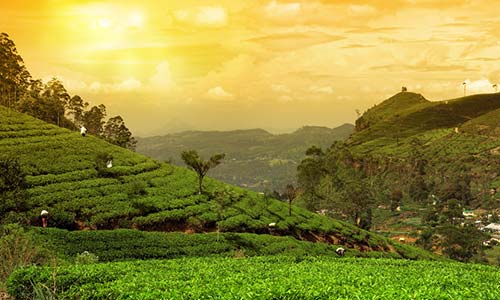 वर्ल्‍ड अर्थ डे : खुद को बचाना है, तो धरती को नया जीवन देना होगा...
