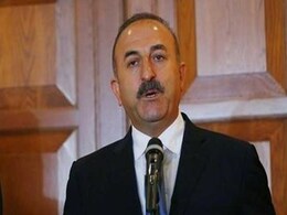 Turkey's Finance Minister Accuses Austria Of Being 'Capital Of Radical Racism' Turkey's Finance Minister Accuses Austria Of Being 'Capital Of Radical Racism'