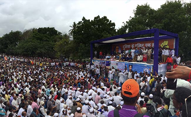 Will Never Remove Dead Cows Again, Vow Thousands Of Dalits In Una