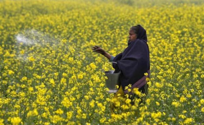 पीएम मोदी ने की किसानों से अपील, साल 2022 तक यूरिया के इस्तेमाल को आधा करें
