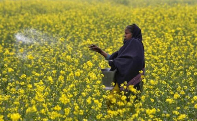 आधे दाम में आयात हो सकता है तो दुगनी लागत पर यूरिया का उत्पादन क्यों