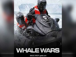 Sea Shepherd Australia Says Will Continue South Ocean Action Sea Shepherd Australia Says Will Continue South Ocean Action