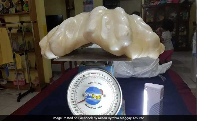 World's Largest Pearl To Be Displayed In Philippines