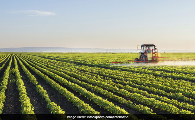 Over 250 Farmers Committed Suicide In Last 3 Years In Chhattisgarh: Government