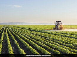 Over 250 Farmers Committed Suicide In Last 3 Years In Chhattisgarh: Government Over 250 Farmers Committed Suicide In Last 3 Years In Chhattisgarh: Government