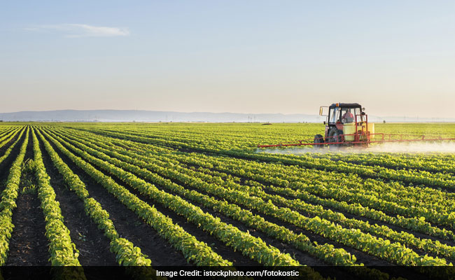 Climate Change May Give Rise To Food Insecurity; Says Study