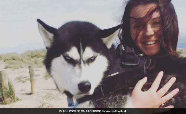 Grumpy Looking Insta-Famous Dog Helps Pay Owner's Tuition Fee