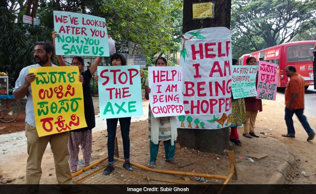 Bengaluru's Green Cover Gets Protection Of Its Citizens