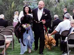 Maid Of Honour Carries Bride's Dying Dog Down The Aisle. It's OK To Cry