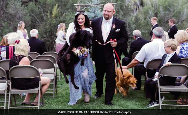 Maid Of Honour Carries Bride's Dying Dog Down The Aisle. It's OK To Cry