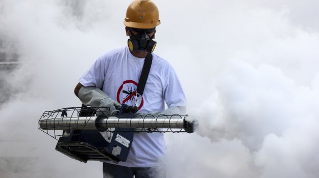 Chikungunya Deaths at 12, Centre Seeks Report From Delhi Government
