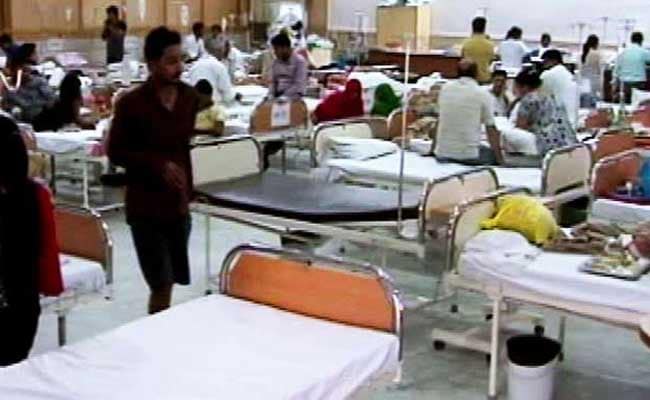 Delhi Stung: 500 Dengue Cases, Malaria 385, Chikungunya 283