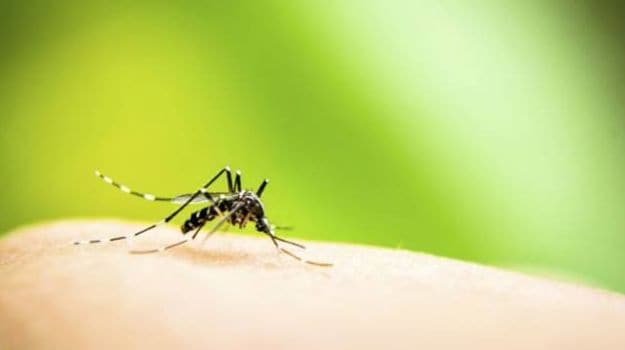 Supreme Court Unhappy Over Delhi Meet On Chikungunya, Dengue