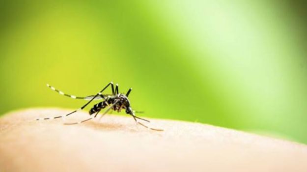60 Deaths Due to Seasonal Diseases This Year in Rajasthan
