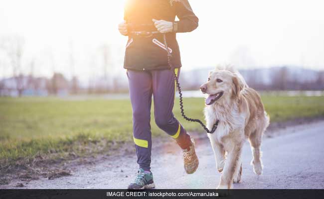 World-First Fitness App For Dogs Developed In Australia
