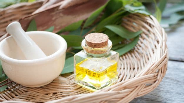 eucalyptus oil 625