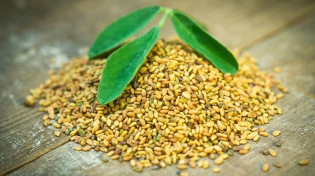 fenugreek