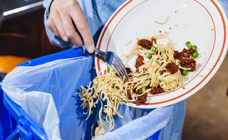 Food Waste May Store Solar And Wind Energy