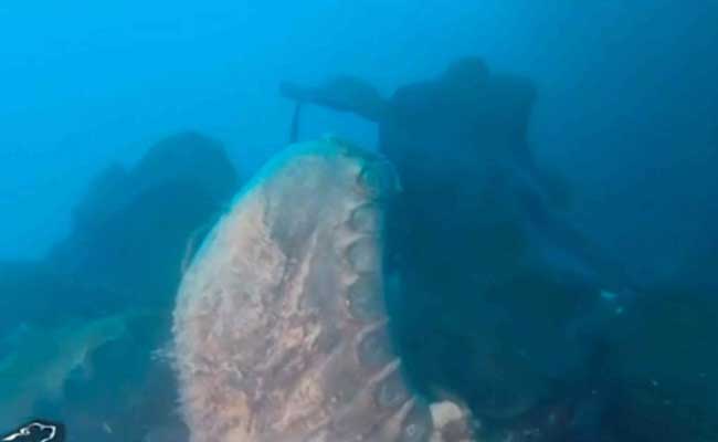 Canada Confirms Second Ship Of Doomed Franklin Arctic Voyage Found