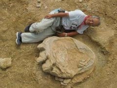 Giant Dinosaur Footprint Discovered In Mongolia Desert