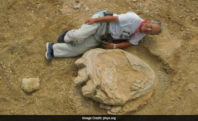 Giant Dinosaur Footprint Discovered In Mongolia Desert