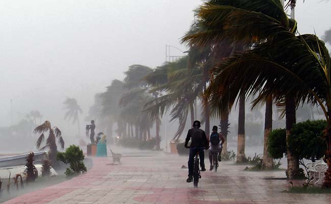 At Least 2 Dead As Hurricane Newton Triggers Mexico