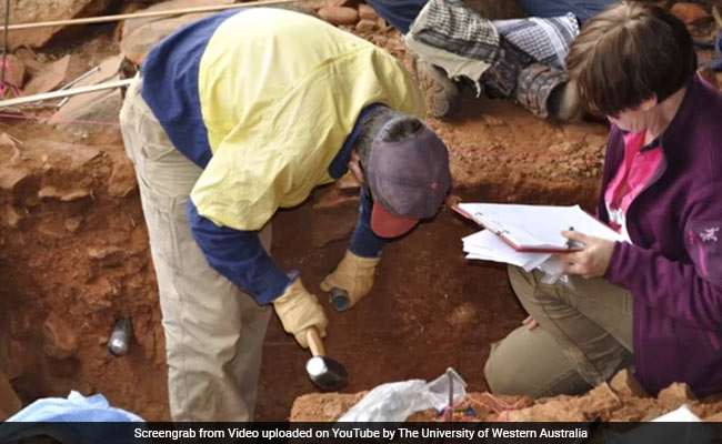 Rock Shelters From Last Ice Age Uncovered In Australia