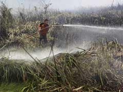 Study Estimates 100,000 Premature Deaths From Indonesia Haze