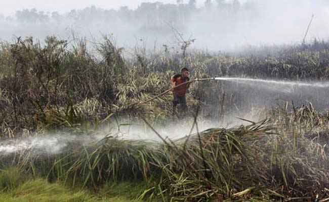 Study Estimates 100,000 Premature Deaths From Indonesia Haze