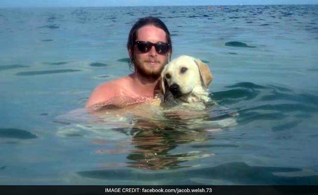 Man Raises Money To Bring Stray Dog Home