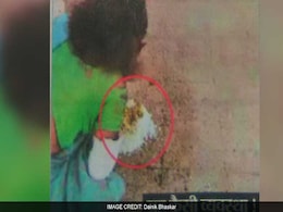 फिर दिखी झकझोर देने वाली तस्वीर : रांची के अस्पताल में मरीज़ को फर्श पर परोसा खाना, कहा - प्लेट नहीं हैं फिर दिखी झकझोर देने वाली तस्वीर : रांची के अस्पताल में मरीज़ को फर्श पर परोसा खाना, कहा - प्लेट नहीं हैं