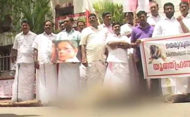 Kerala Protesters Hammered Dogs To Death, Say Police, File Case Against 15