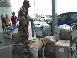 Man Apprehended By The CISF At Kolkata Airport Trying To Smuggle $12,000 To Dhaka Man Apprehended By The CISF At Kolkata Airport Trying To Smuggle $12,000 To Dhaka