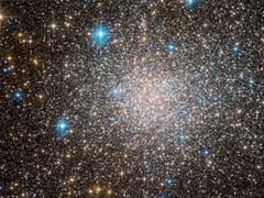 Hubble Discovers Rare Fossil Relic Of Early Milky Way